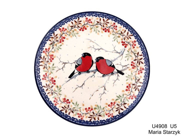 Polish Plates - A Cultural and Practical Guide to Vehicle Registration in Poland